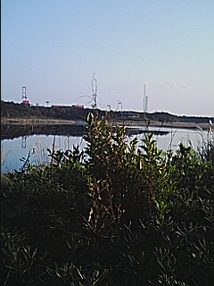 南港野鳥園北観察所