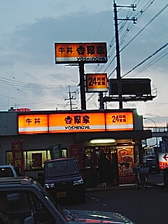 牛丼
