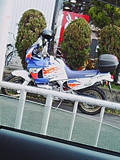 アフリカツイン