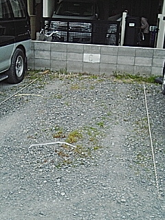 今日の予定
