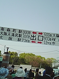 桜の通り抜け