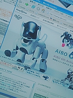 ＡＩＢＯ