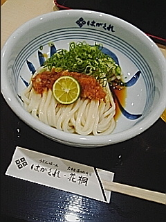 生醤油うどん