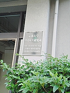 なんか違う