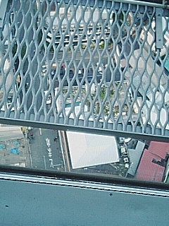 高所恐怖性