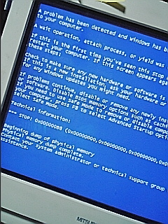 ブルーバック