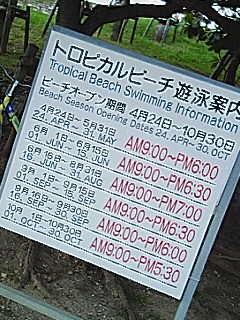 遊泳期間