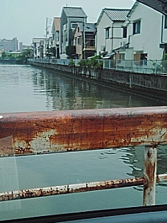 近所の川の水位