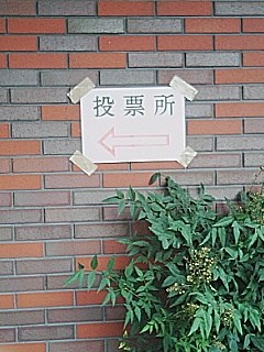 選挙