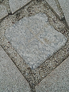 GPSで確認