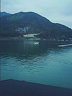 海