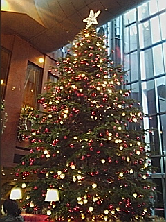 クリスマスツリー