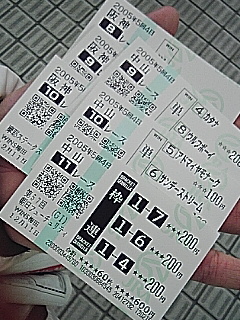 本日のレース