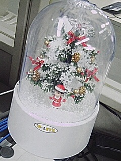 クリスマス準備