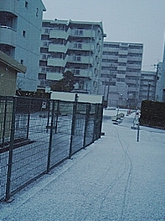 積雪