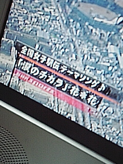 花＊花な歌