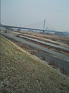 コーナン前淀川河川敷