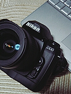 Ｄ１００