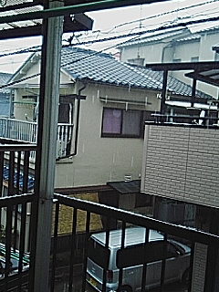 雨