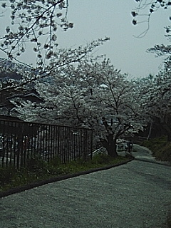誠に残念