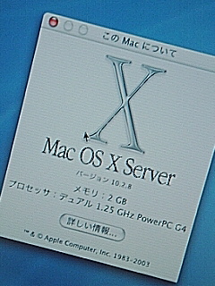 ちゅーと半端な鯖