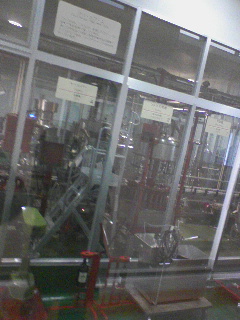 ワイン製造見学