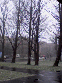 雪