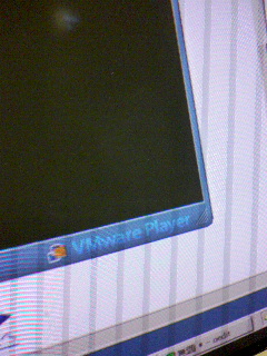 VMWarePlayer