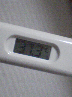 微熱