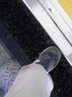 列車とホームの隙間