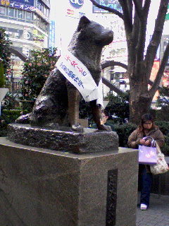 ハチ公