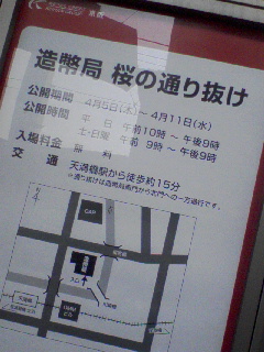桜の通り抜け