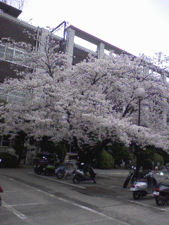 土曜日出勤