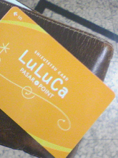 LuLuCa入手