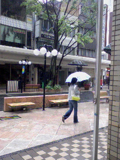 雨