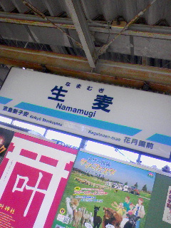 生麦