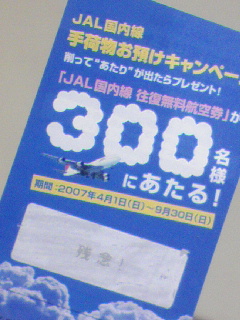 無料往復航空券