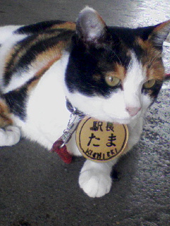 駅長たま