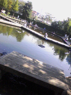 釣り堀全景