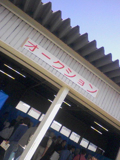 オークション