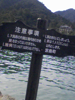注意事項