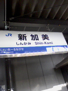 新加美