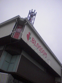 はなぽーとブロッサム