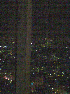 無料の景色