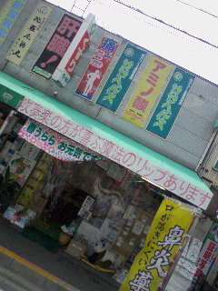 魔法のリップ