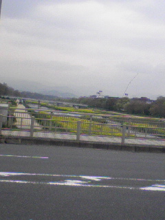 鴨川