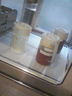 トマトジュース