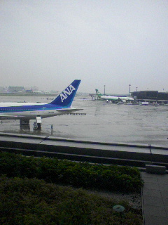 飛行機見学