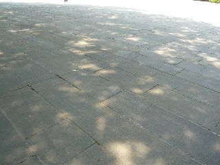 東庭の地下