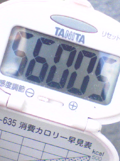 56000歩超